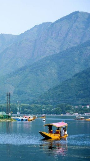 Dal Lake Shikara Ride Guide