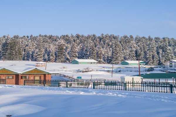 Winter Snowfall Kashmir Package